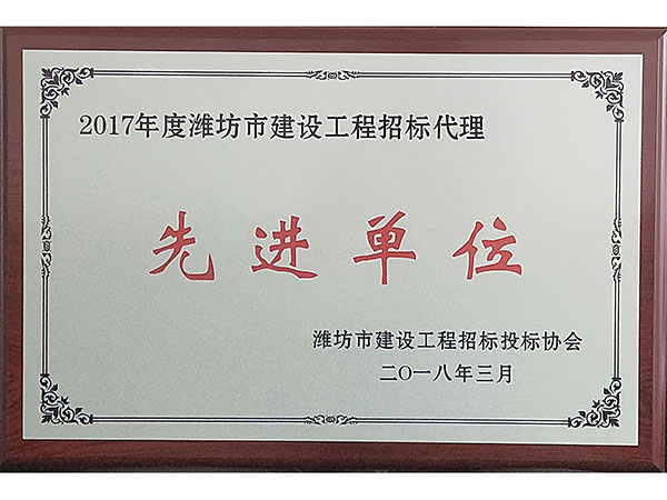 2017年度潍坊市建设工程招标代理先进单位.jpg